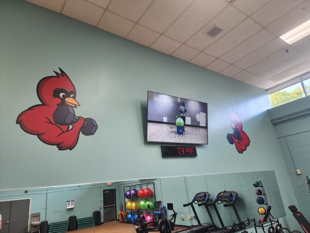 Wall Graphics / Wall Decals / Custom Illustrated Design